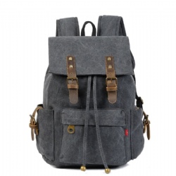 Canvas Backpack/Double Shoulder Bag/Travel Bag